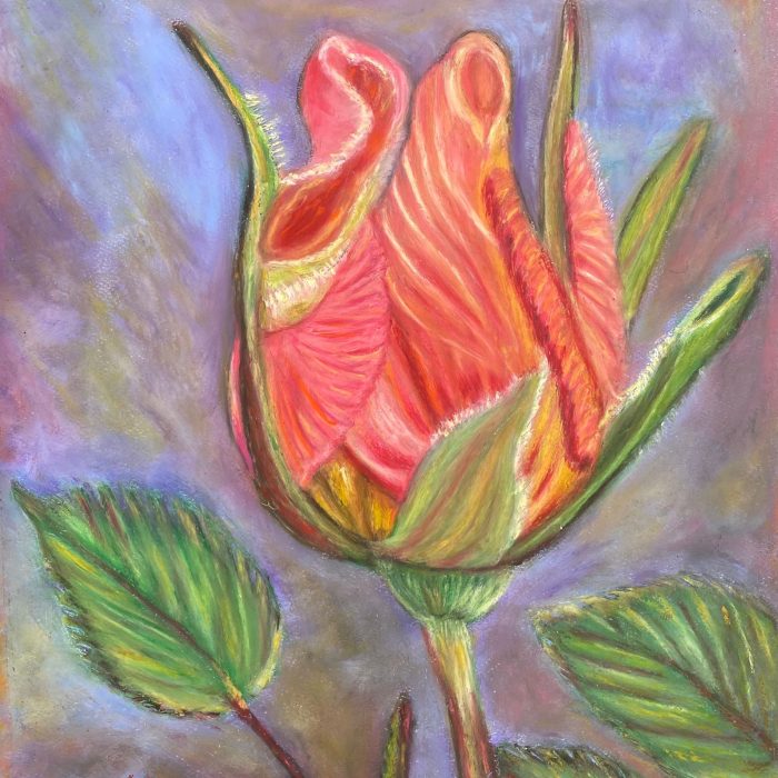 'PETIT ROSE' • Oil Paste • 12x16in