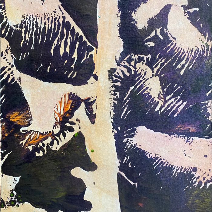 ‘GORGE’ • ACRYLIC • 11x15in